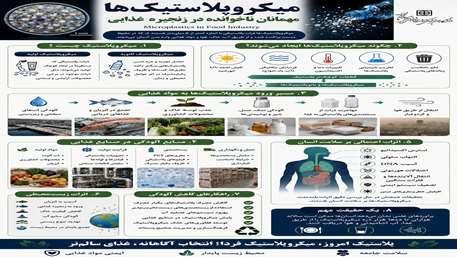  میکروپلاستیک‌ها